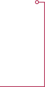 Identificador de la integridad