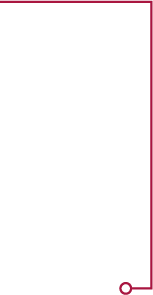 Identificador de la disiplina