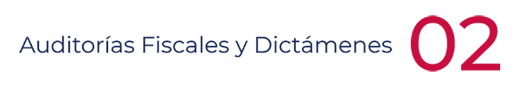 Auditorias fiscales y dictámenes